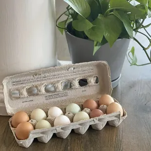 Local Eggs