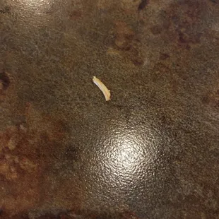 FINGERNAIL FOUND IN MY FOOD