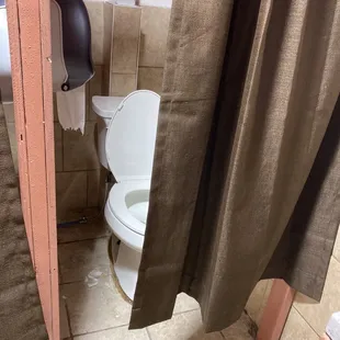 Ummm, toilet curtains?