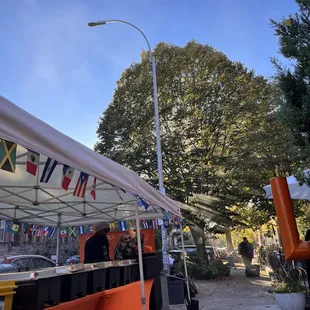 Love how the sun was shining through the smoke and tree