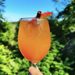 Fall Apple Cider Spritzer