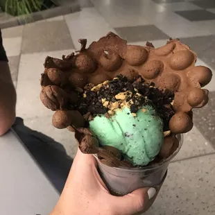 Mint Chocolate Chip