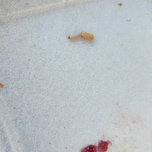 I hope this not rat meat