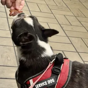 Ordered ALL the bacon!