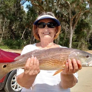 Mary Lynn C.