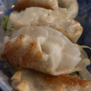 Gyoza