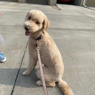 Before and after photos