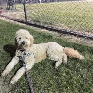 Before &amp; after photos