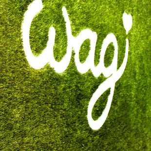 Wag offers natural foods, treats, unique supplies, low-stress grooming, small group doggie daycare and partnerships with local rescue.