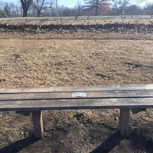 Donated bench