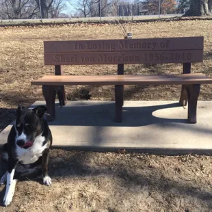 Donated bench.