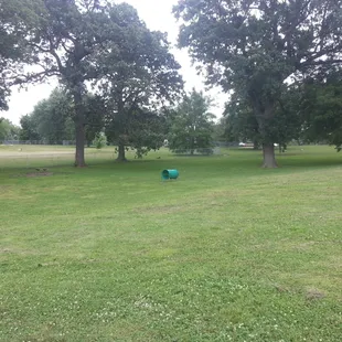 There is even the start of some agility training obstacles,  big rocks and a huge little dog section too.
