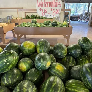 Seedless watermelons.