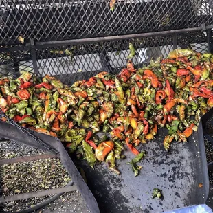 Roasted Chile