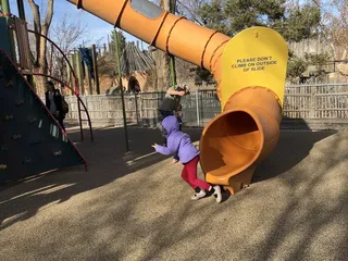 The Rio Grande Zoo Playground