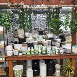 Black and white pots display.