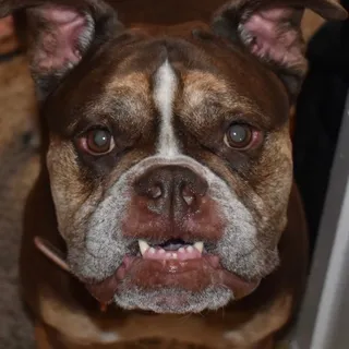 Caitlin O.