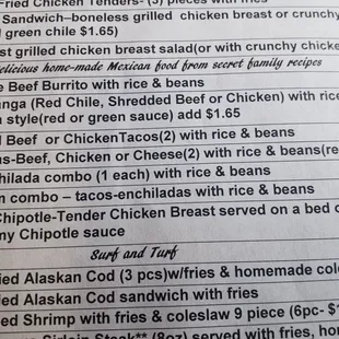Recommend the red chili burrito