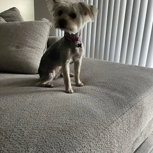They actually asked me if I wanted it shorter.