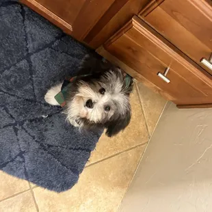 Face trimming, and booty cleaning