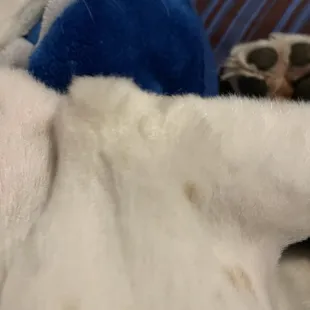 His arms have long bits and lines.