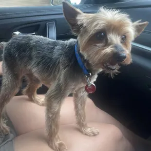 Max after his most recent visit.