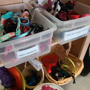 Dog leashes and harnesses
