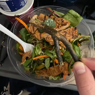 Wagshal&apos;s Nixon Salad with bonus stick! Not to my taste, but perhaps a goat would enjoy!