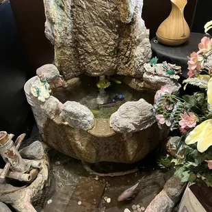 Koi pond