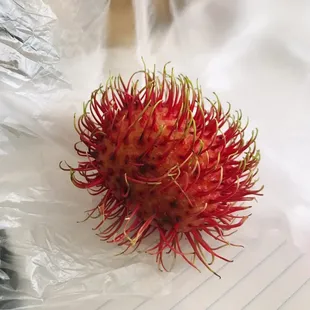 Rambutan (similar to lychee and longan - dragon eye&quot; fruit)