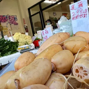 Beautiful lotus root. Sign says don&apos;t snap them apart, or you&apos;ll pay double price!