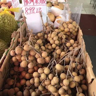 Longan or dragon eye fruit (similar to lychee and rambutan) for mom