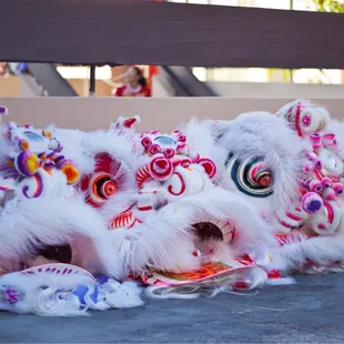 Wah ngai @ see yup society dinner banquet 2012