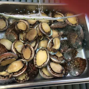 a pan of clams