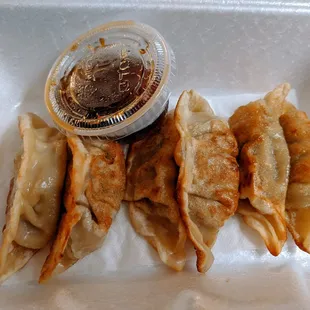 Gyoza
