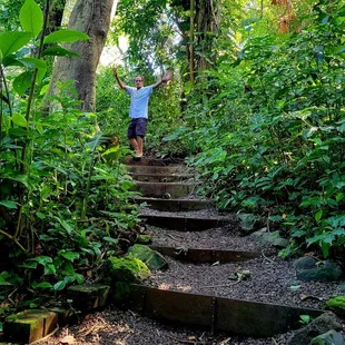 Had fun walking through the forest