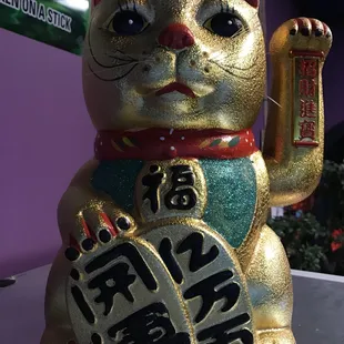 The lucky cat!