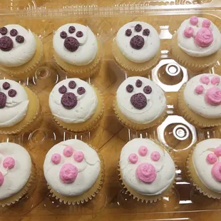 a dozen cupcakes in a plastic container