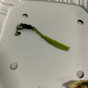 Less cilantro, more fish please.