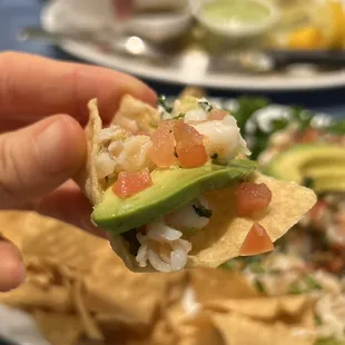 a hand holding a tortilla