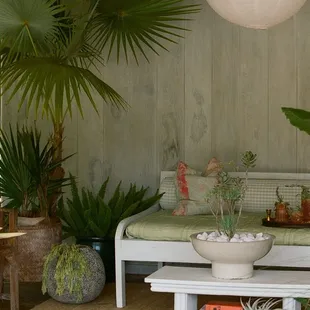Love all the palm varieties at Waiahole! We used this gorgeous one for our photo shoot!  Plant Design  Palma Hawaii