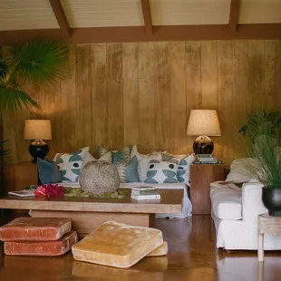 Gorgeous Grass Trees! Waiahole has a beautifull selections of thoughtfully grown plants.