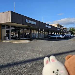 A long strip of small businesses