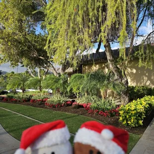 Beautiful landscaping