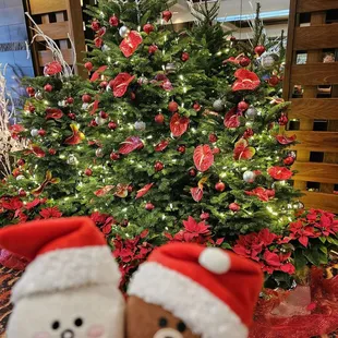 "Hawaiian flowers" decorate the trees!