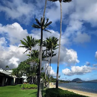 Amazing lawn/beach view