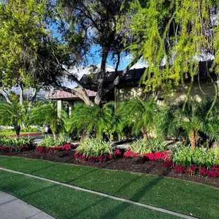 Impressive landscaping