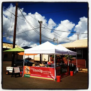 La Cosecha Hawaii at the Waialua Farmers Market