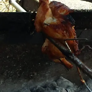 Francis's BBQ Kiawe Chicken $9.00 as of 07.19.2014