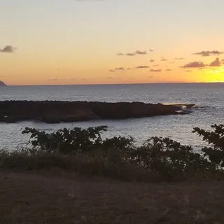 Kea K.